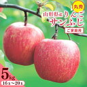 【ふるさと納税】 りんご 5kg「サンふじ」 丸秀品 (16~20玉) 《家庭用》山形県産【2025年11月中旬頃~12月頃発送予定】/ お取り寄せ ご当地 特産 産地直送 果物 フルーツ 季節 冬 デザート おやつ 林檎 アップル 5キロ 2025年産 令和7年産 東北 山形