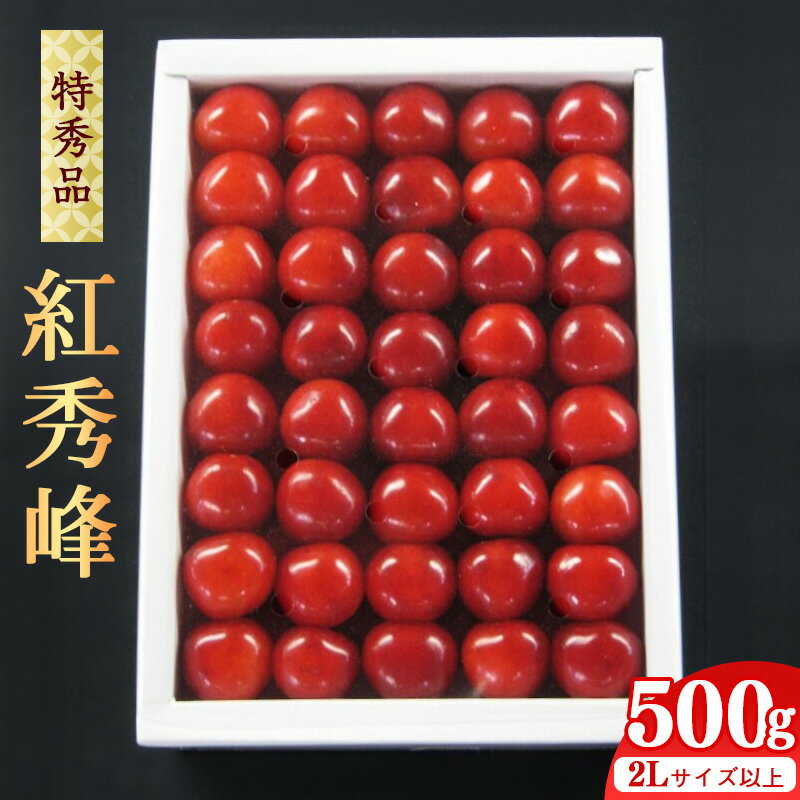 【ふるさと納税】《特秀品》厳選さくらんぼ「紅秀峰」 500g