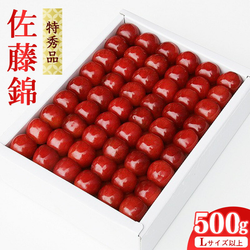 [特秀品]厳選さくらんぼ「佐藤錦」 500g 化粧詰 Lサイズ以上 山形県産 2024年産(令和6年産)[2024年6月中旬頃〜6月下旬頃発送予定] / 厳選 さくらんぼ 特秀 寒河江 チェリー フルーツ 果物 くだもの お取り寄せ グルメ ご当地 特産 産地 期間限定