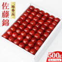 【ふるさと納税】 《先行予約》 令和8年産 【厳選】 さくらんぼ 「 佐藤錦 」 500g 特秀品 L以上 化粧詰 2026年産 山形産 【2026年6月上旬頃~6月下旬頃発送予定】 ※配送不可 沖縄・離島お取り寄せ フルーツ 果物 果実 くだもの サクランボ 農協 寒河江 JAさがえ西村山