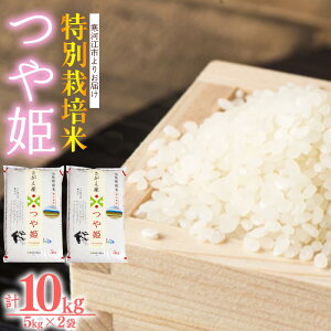 【ふるさと納税】【時期選べる】 特別栽培米 つや姫 10kg（5kg×2袋）令和5年産 山形産 ／ 2023年産 お取り寄せ グルメ 精米 白米 小分け 便利 ごはん 安心 安全 東北 国産 5キロ 10キロ ふるさと納税 米