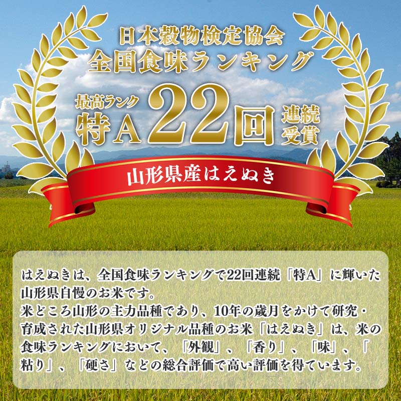 【ふるさと納税】【先行予約】毎年大好評!令和4年産 新米 ふるさと納税 はえぬき 20kg (5kg×4袋) 2022年産 山形県産( お取り寄せ 特産 お米 精米 白米 小分け 便利 弁当 ごはん ご飯 コメ おかず おにぎり 東北 米どころ 単一原料米 ブランド米 清流 寒河江川 やまがた)