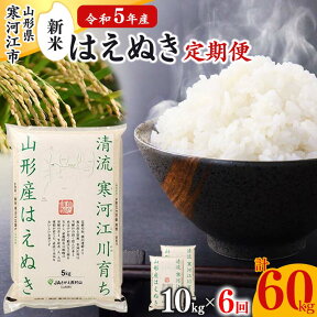 【ふるさと納税】《10kg 6ヶ月定期便》計 60kg 2023年産 令和5年産 はえぬき 計60kg (10kg(5kg×2袋)×6回) 定期便 山形県産／定期便 お取り寄せ 特産 お米 精米 白米 小分け 便利 弁当 ごはん ご飯 コメ おにぎり 東北 米どころ ブランド米 清流 寒河江川 米