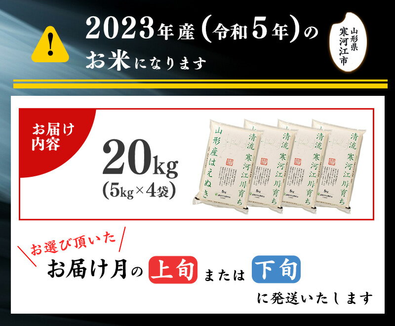 【ふるさと納税】【時期選べる】はえぬき 20kg (5kg×4袋) 令和5年産 ふるさと納税 2023年産 山形県産 ／ お取り寄せ 特産 お米 精米 白米 小分け 便利 弁当 ごはん ご飯 コメ おかず おにぎり 東北 米どころ 単一原料米 ブランド米 清流 寒河江川 やまがた さがえ