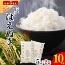 はえぬき 10kg (5kg×2袋) 令和5年産 ふるさと納税 2023年産 山形県産 ／ お取り寄せ 特産 お米 精米 白米 小分け 便利 弁当 ごはん ご飯 コメ おかず おにぎり 東北 米どころ 単一原料米 ブランド米 清流 寒河江川 やまがた さがえ