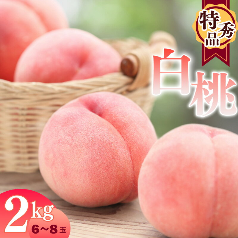 【ふるさと納税】白桃 2kg 品種おまかせ （6〜8玉） 特