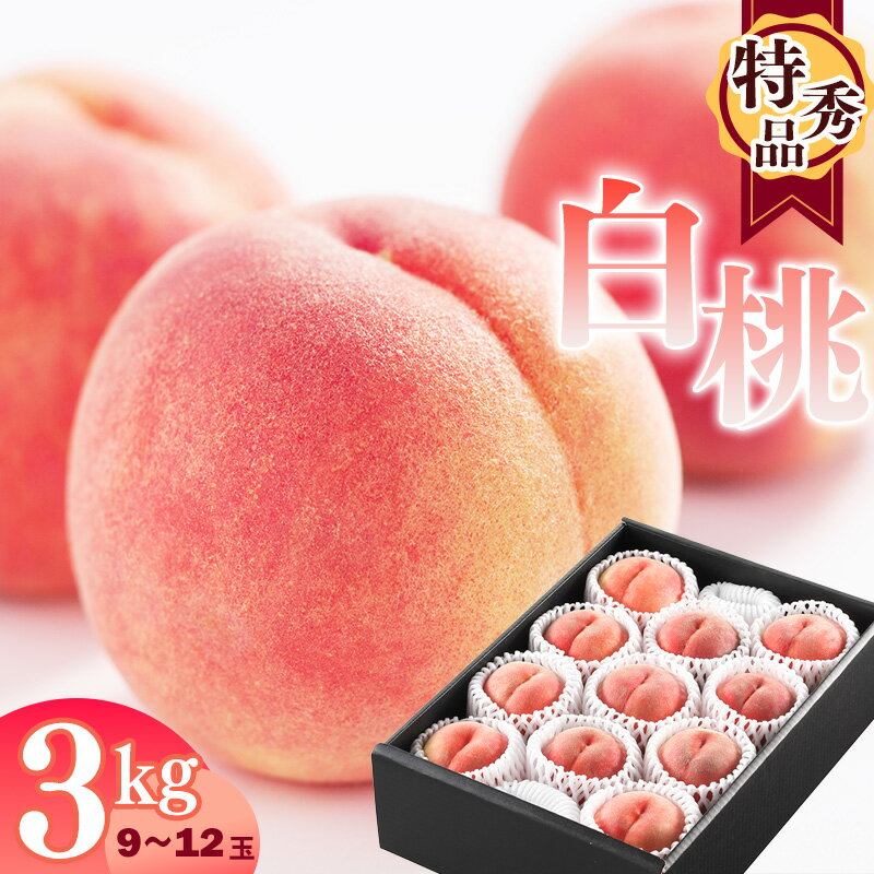 【ふるさと納税】白桃 3kg 品種おまかせ （9〜12玉） 