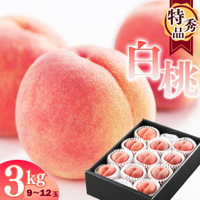 【ふるさと納税】白桃 3kg 品種おまかせ （9〜12玉） 特秀品 山形県産 【2024年8月上旬頃～9月下旬頃発送予定】／ 果物 フルーツ 果実 産地直送 新鮮 夏 季節 東北 お取り寄せ ご当地 名産 特産 ホワイト ピーチ 果汁 芳醇 3キロ 農協 2024年産 令和6年産 もも