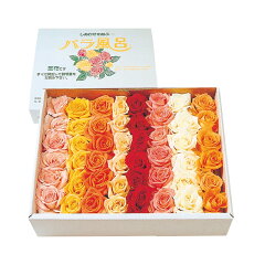 https://thumbnail.image.rakuten.co.jp/@0_mall/f062065-sagae/cabinet/08691316/rose/48rosebath.jpg