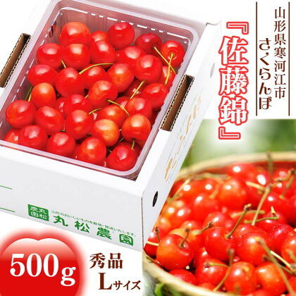 さくらんぼ 「佐藤錦」 秀品 500g Lサイズ 【2024年6月中旬頃～下旬頃発送予定】 ／ お取り寄せ ご当地 特産 フルーツ 果物 果実 くだもの サクランボ 2024年産 令和6年 東北 ふるさと納税 果物 山形