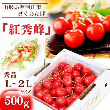 さくらんぼ 「紅秀峰」 秀品 500g L～2Lサイズ 山形産 【2024年6月下旬頃～7月上旬頃発送予定】 ／ 2024年産 令和6年 山形県産 お取り寄せ ご当地 特産 フルーツ 果物 果実 くだもの サクランボ チェリー 東北