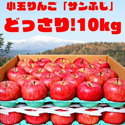 りんご「サンふじ」10kg（40～50玉）秀品 小玉サイズ 【2025年1月上旬頃～下旬頃発送予定】 ／ お取り寄せ ご当地 特産 果物 フルーツ くだもの リンゴ 林檎 季節 冬 食後 デザート 2024年産 令和6年産 東北 山形県 10キロ