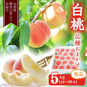 【ふるさと納税】山形の白桃 5kg 品種おまかせ (13〜20玉) 秀品 山形県産 ＜先行予約＞ ／ 果物 フルーツ 果実 産地直送 新鮮 贈答 ギフト プレゼント 季節 東北 お取り寄せ ご当地 特産 ピーチ 果汁 2023年産 令和5年産 5キロ ふるさと納税 桃