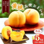 【ふるさと納税】黄桃（黄金桃）5kg秀品(13〜18玉)