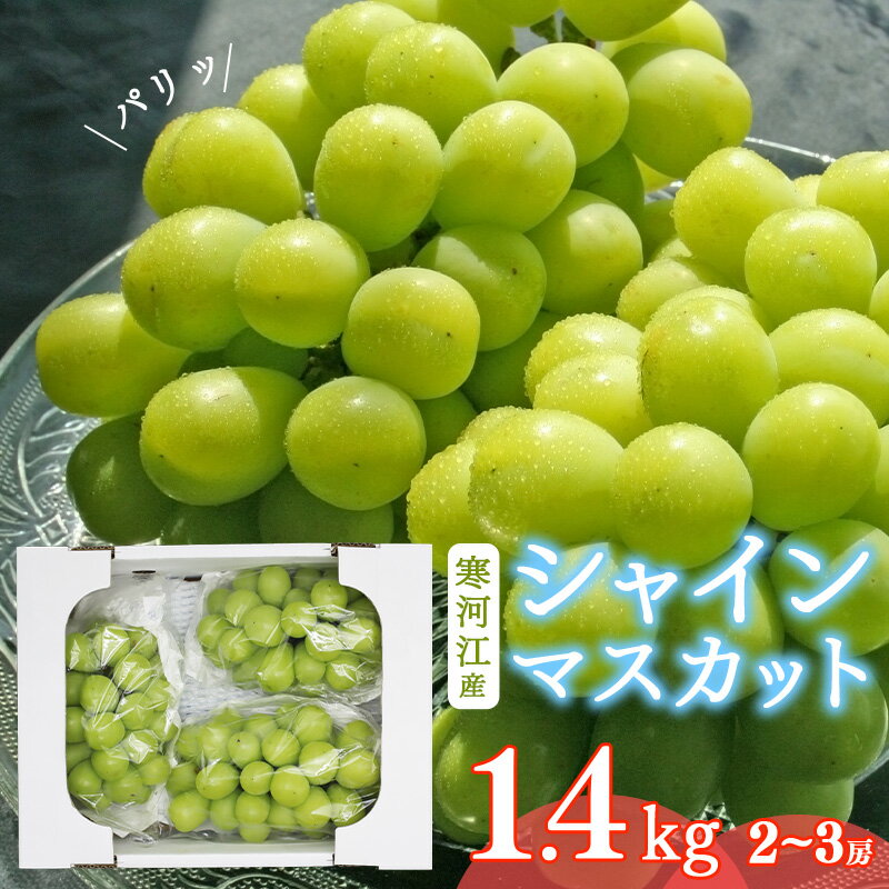 【ふるさと納税】「 シャインマスカット 」 2〜3房(計1.4kg) 山形産 【2025年9月下旬頃〜10月下旬頃発送予定】 / ジューシー デザート おやつ フルーツ 果物 果実 葡萄 ブドウ 種なし 種無し 特産 お取り寄せ 甘い 2025年産 令和7年産 国産 東北