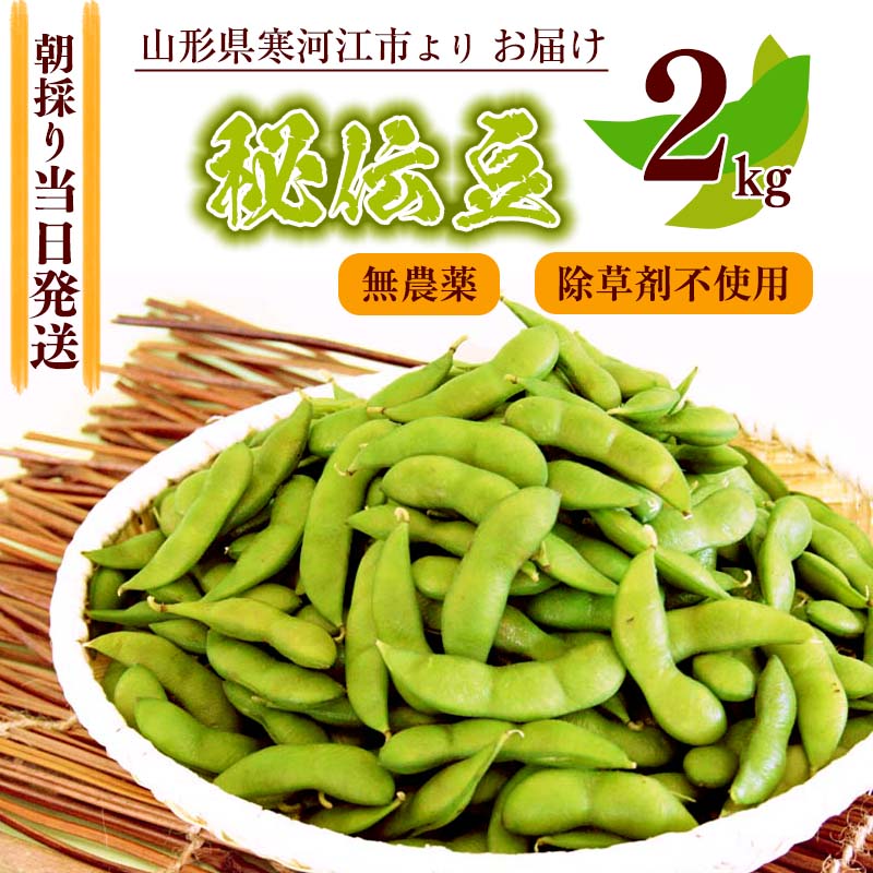 [無農薬・除草剤不使用] 枝豆 「秘伝豆」 2kg 山形産 [クール便] [2024年9月下旬より発送予定]/ お取り寄せ グルメ 野菜 ご当地 晩酌 おつまみ おやつ ずんだ 豆ごはん 名産 特産 安心 安全 東北 山形 山形県産 2024年産 令和6年産