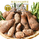 【ふるさと納税】令和7年産 やまがた伝統野菜 「子姫芋(里芋)」選べる!2kg 〜 5kg《土付き》 2025年産 山形県産 【2025年11月中旬頃から順次発...