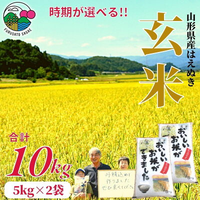 楽天ふるさと納税　【ふるさと納税】【時期選べる】【新米】玄米 10kg(5kg×2袋) 「はえぬき」 ／ 2022年産 令和4年産 お米 小分け 便利 精米 白米 おにぎり SDGs お取り寄せ 特産 東北 単一原料米 食物繊維 健康 山形県産 予約 5キロ 10キロ