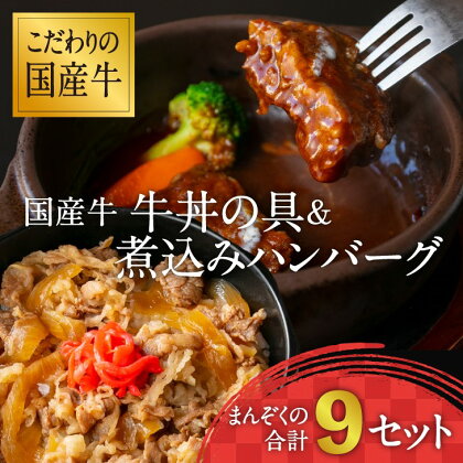 《こだわりソースと玉ねぎが旨い簡単惣菜》国産牛 牛丼の具&煮込みハンバーグ 満足の9個セット 湯煎で温めるだけ お取り寄せ 個包装 小分け 国産牛 便利 時短 冷凍 簡単 土産 おかず 惣菜 お肉屋さん お歳暮 ギフト お弁当 子供 キャンプ レストラン