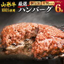 【ふるさと納税】黒毛和牛「山形牛」100％ 牛肉 ハンバーグ （160g×6個）【調味料・保存料なし】 お取り寄せ 個包装 小分け ご当地 惣..