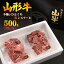 ڤդ뤵Ǽǡۢ · ꢨҥ å 500g250g2ޡ˽Фιµ  ̸ ʳ ե ơ  µ   ȥɥ  BBQ ֥ɵ ֿ ߤ  SDGs ڤü   櫓