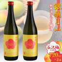 銀嶺月山 純米酒仕込みの梅酒（720ml×2本セット）／ お取り寄せ リキュール お酒 地酒 日本酒 女子会 飲み会 ストレート ロック ソーダ割り 炭酸割り お湯割り カクテル 支援 応援 晩酌 美味しい 果実酒 アルコール 土産 貴重 国産 東北 山形 国産 月山酒造