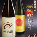 銀嶺月山 こだわり梅酒と純米酒セット（720ml×2本） ／ お取り寄せ リキュール お酒 地酒 日本酒 飲み比べ 女子会 飲み会 ストレート ロック ソーダ割り お湯割り 支援 応援 晩酌 美味しい 果実酒 土産 国産 東北 山形 国産 月山酒造