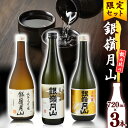 【ふるさと納税】 銀嶺月山 2024年 純米大吟醸 大吟醸 ふるさと納税限定 飲み比べセット （720ml×3本）【2024年9月末頃までに順次発送予定】 ／ 日本酒 受賞酒 お取り寄せ ご当地 特産 土産 地酒 晩酌 詰め合わせ 詰合せ セット 夏 季節 限定 東北 山形 月山酒造