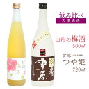 【ふるさと納税】《 梅酒 米焼酎(つや姫) 飲み比べ 》 「山形の梅酒(寒河江市産白加賀梅を使用) 」・ 「雪原 山形米焼酎 つや姫」/ 梅酒 飲み比べ うめ 白加賀梅 飲み比べセット リキュール 山形