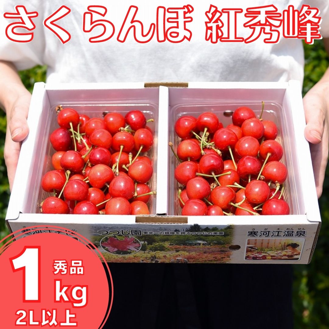 【ふるさと納税】 令和6年産 2Lサイズ以上「紅秀峰」 秀品 1kg（500g×2）【2024年6月下旬頃～7月上旬...