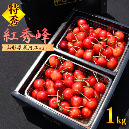 令和6年産 大粒3L以上 さくらんぼ 「紅秀峰」 特秀品 1kg（500g×2）【2024年6月下旬頃～7月上旬頃発送予定】／ 2024年産 お取り寄せ 贈答 プレゼント ご当地 特産 フルーツ 果物 果実 くだもの サクランボ 山形県産 1キロ 東北 果物 山形