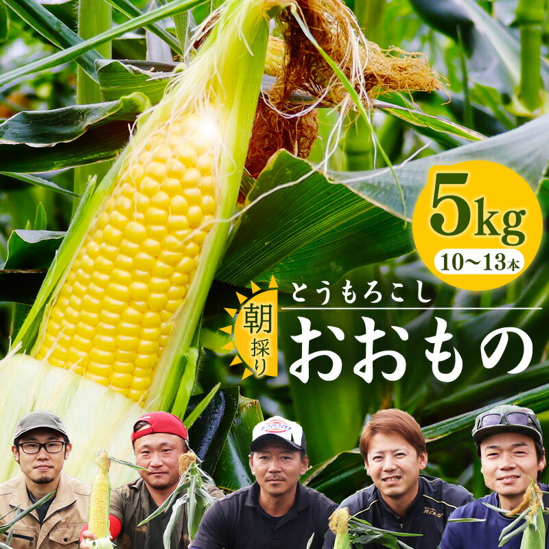 [時期を選べる] 朝採り 農家直送 とうもろこし 5kg「おおもの」(10〜13本) 山形産 [2024年8月頃〜10月頃発送予定] / 野菜 お取り寄せ ご当地 特産 産地直送 生産者直送 自宅用 家庭用 トウモロコシ 夏 秋 季節 東北 2024年産 令和6年産 山形県産