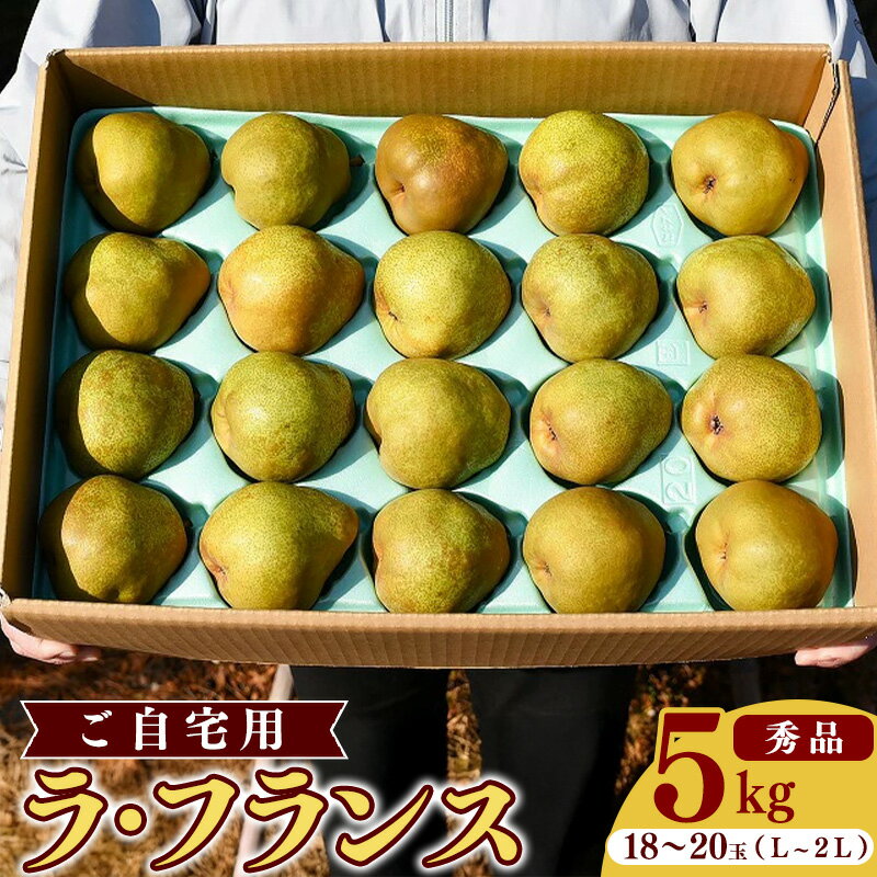 【ふるさと納税】こだわり ラ・フランス 5kg（18玉～20玉） 秀品 L〜2L 《ご自宅用》 農家直送 山形県産 【2023年11月頃～12月上旬頃発送予定】／ 果物 フルーツ 梨 お取り寄せ ご当地 特産 産地直送 新鮮 季節 秋 製菓 スイーツ作り 東北 2023年産 令和5年産 5キロのサムネイル