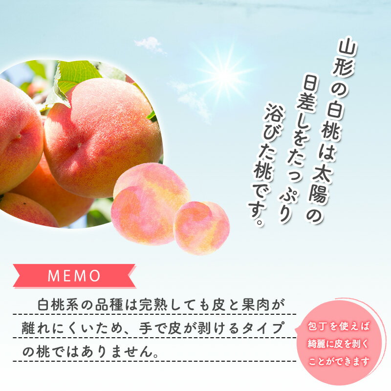 【ふるさと納税】令和8年産 先行予約 選べる内容量！ 山形の白桃 秀品1.4kg 2kg 3kg 5kg 品種おまかせ 秀品 山形県産【2026年8月上旬頃〜9月下旬頃発送予定】※配送不可 沖縄・離島 果物 フルーツ 果実 産地直送 新鮮 贈答 ギフト 特産 2026年産