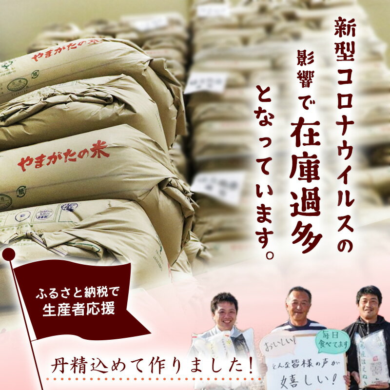 【ふるさと納税】【支援品】〈増量で計14kg〉令和3年産 はえぬき 計14kg (5kgが2袋+2kgが2袋) 山形県産／ お取り寄せ 特産 精米 白米 小分け 便利 弁当 ごはん フードロス 食品ロス SDGs コメ おにぎり 東北 米どころ 単一原料米 ブランド米 寒河江川 月山 コロナ 訳あり