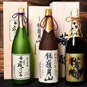 【ふるさと納税】 純米大吟醸 ・ 大吟醸 一升瓶 3本セット（1,800ml×3本） ／ お取り寄せ ご当地 特産 土産 地酒 日本酒 山形 晩酌 家飲み おうち時間 米 酒 蔵 詰め合わせ 詰合せ 飲みくらべ 千代寿虎屋 月山酒造 銀嶺月山 斗瓶 古澤酒造 澤正宗