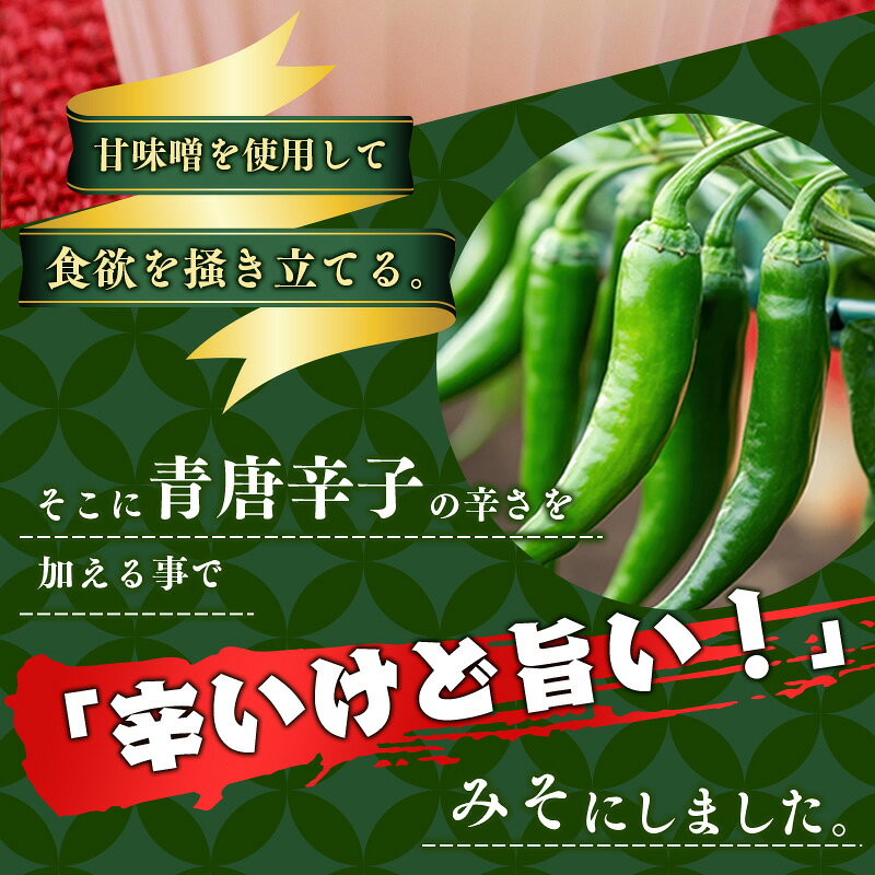 【ふるさと納税】激辛 青唐辛子みそ 100g 1本ご飯のお供 辛味噌 青唐辛子 味噌 ごはんのおとも ご飯のおとも 激辛調味料 ピリ辛 おつまみ おにぎり 焼肉 料理のアクセント ご当地グルメ お取り寄せ 晩酌のお供にも 山形県産 自社農園 手作業 調味料 福祉 ポイント消化 f062065-sagae-10001569 山形県寒河江市 サンプル画像3