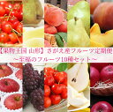 【ふるさと納税】 贅沢10回 【果物王国 山形】 さがえ産フ...