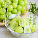 山形県寒河江市の画像3