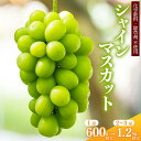 【ふるさと納税】<厳選> 選べる! シャインマスカット 600g 以上 〜 1.2kg 以上 <安全安心の栽培>【2025年9月上旬頃〜10月上旬頃発送予定】山...