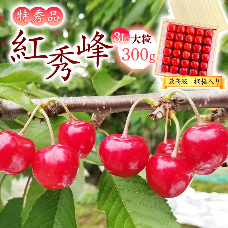 令和6年産 特秀品 さくらんぼ 「 紅秀峰」 300g 3Lサイズ [桐箱入] 2024年産 山形県産 [2024年6月下旬頃〜7月上旬頃発送予定] / お取り寄せ フルーツ 果物 果実 ご当地 グルメ 特産 産地 直送 高級 贈答 東北 300グラム