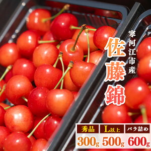 【ふるさと納税】《先行予約!》山形県産 さくらんぼ 選べる!「 佐藤錦 」300g 〜 600g 秀品 Lサイズ以上 【2026年6月上旬頃〜下旬頃発送予定】※配送不可 沖縄・離島 フルーツ 果物 果実 山形産 300グラム 250グラム 500グラム 600グラム 2026年産 令和8年産 山形県産