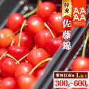 【ふるさと納税】《先行予約!》山形県産 さくらんぼ 選べる! 「 佐藤錦 」300g ~ 600g 特秀品 Lサイズ以上 【2026年6月上旬頃~下旬頃発送予定】 ※配送不可 沖縄・離島 フルーツ 果物 果実 特産 直送 贈答 東北 300グラム 600グラム 2026年産 令和8年産 山形県産