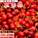 【ふるさと納税】さくらんぼ 「 紅秀峰 」600g (300g×2パック) 秀品 L以上 【2025年6月中旬頃〜7月上旬頃発送予定】 / お取り寄せ フルーツ...
