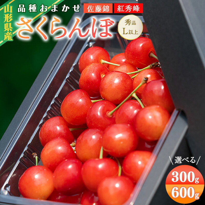 【ふるさと納税】 《先行予約》 令和9年産 山形県産 さくらんぼ 品種おまかせ (佐藤錦・紅秀峰) 300g 600g Lサイズ以上 秀品 【2027年6月上旬頃から下旬頃発送予定】 ※配送不可 沖縄・離島 フルーツ 果物 果実 直送 2027年 旬 山形産 お取り寄せ 300グラム 600グラム f062065-sagae-10001574 山形県寒河江市 パッケージ画像