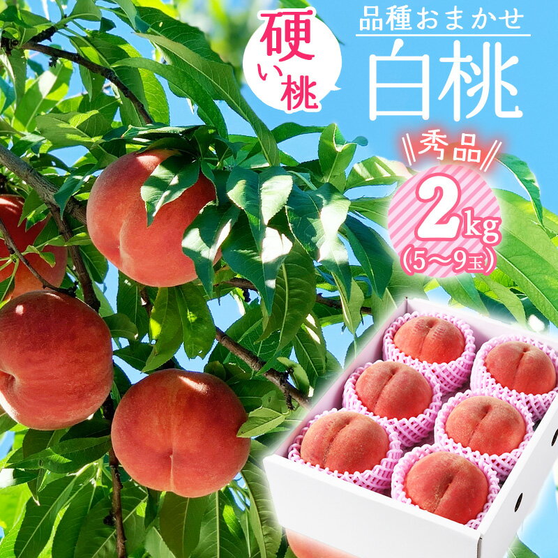 【ふるさと納税】 有機肥料栽培 硬めの 白桃 2kg（5〜9