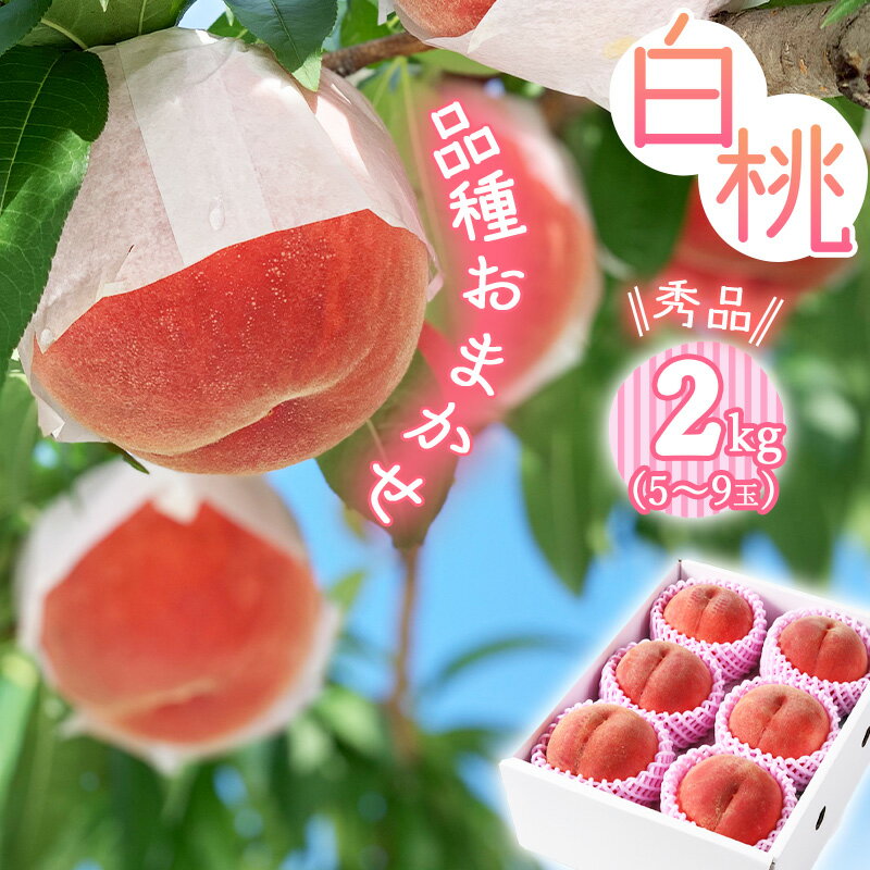 【ふるさと納税】 有機肥料栽培 白桃 2kg（5〜9玉） 秀