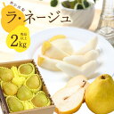 【ふるさと納税】洋梨「ラ・ネージュ」 2kg(5〜10玉) 秀品以上 《化粧箱入り》 サイズおまかせ 山形県産 【2025年11月下旬頃〜12月下旬頃発送予定】/ 果物 フルーツ くだもの お取り寄せ ご当地 特産 東北 冬 ラネージュ デザート 贈答 2025年産 令和7年産 2キロ