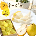 【ふるさと納税】洋梨「ラ・ネージュ」 2kg（5～10玉） 