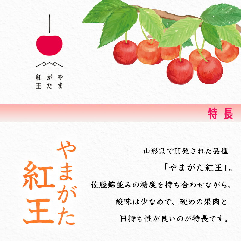 【ふるさと納税】《先行予約》山形県産 さくらんぼ 「やまがた紅王」3Lサイズ以上 秀品 300g（100g×3）化粧箱 ダイヤパック 【2026年6月中旬頃〜6月下旬頃発送予定】※配送不可 沖縄・離島／ 2026年産 令和8年産 お取り寄せ 果物 果実 くだもの サクランボ 特産 東北 山形